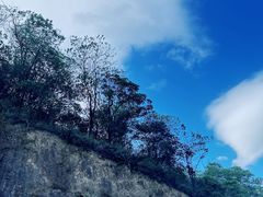 -马峦山郊野公园