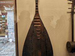 -宣科纳西古乐·非遗音乐(大水车店)