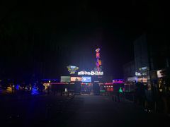 -枫花园汽车电影院(朝阳公园店)