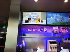 -TD66高山铁皮石斛养生茶饮