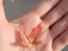 -回龙观体育文化公园