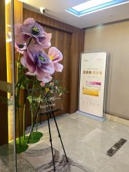 -杭州米兰柏羽医疗美容医院