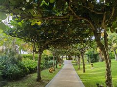 -三亚亚龙湾天域度假酒店