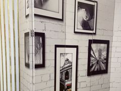 -泰康拜博口腔(世博园乐尔店)