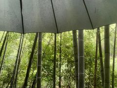 -千泷沟大瀑布旅游区