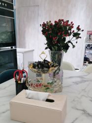 -诗媛嘉美健康管理中心(金桥店)