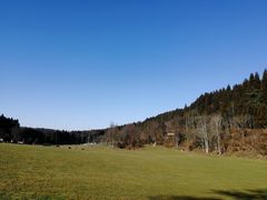 -武陵山森林公园