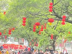 -东莞市大岭山森林公园