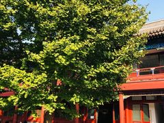 -北京石刻艺术博物馆(五塔寺)