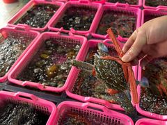 -众味海鲜大排档·活海鲜·潮汕味(南澳店)