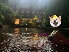 -杭州第一世界大酒店·云曼温泉