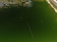 -DGE季风钓虾营地·团建·聚会