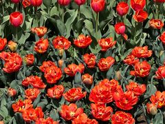 -玄武湖景区-情侣园游乐场