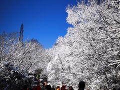 -紫金山山顶公园