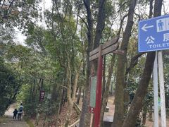 -东莞市大岭山森林公园
