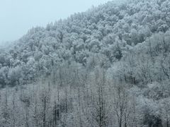 -日月山景区