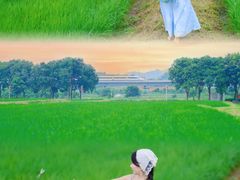 -光明小镇欢乐田园