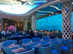 -瑞德姆美人鱼海底演艺主题餐厅(亚龙湾店)