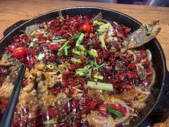 -老板恋上鱼(恒隆广场店)