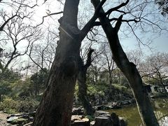 -秋霞圃