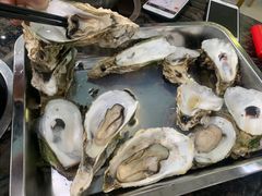 -蚝专家