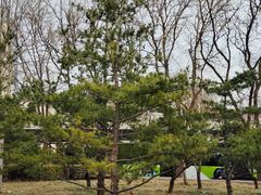 -中央广播电视塔