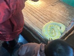 -石家庄市动物园