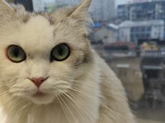 -怪兽屋·羊驼·猫咖·狗咖(俊华广场店)