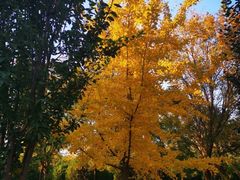 -永定河休闲森林公园