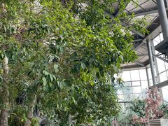 -鄂尔多斯野生动物园