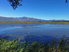 -野鸭湖国家湿地公园