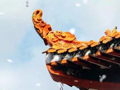 -深圳仙湖植物园-停车场