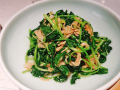 邹山腐皮鸡毛菜-竹外桃花·江南小酒馆(SKP·S店)