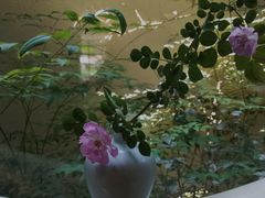 -荷风细雨·中国茶宴(碧云店)