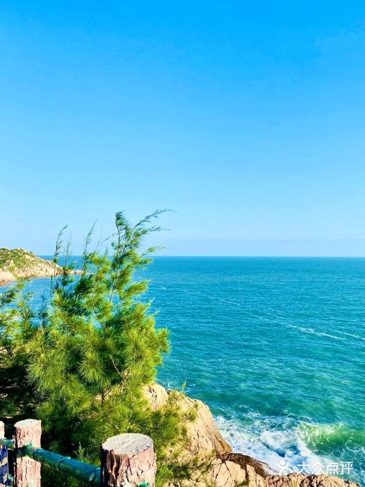 广东惠东海龟国家级自然保护区图片