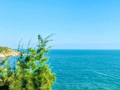 -广东惠东海龟国家级自然保护区