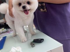 -宠福鑫康馨动物医院·骨科·眼科
