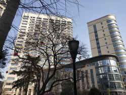 -河南中医药大学第一附属医院-医疗整形