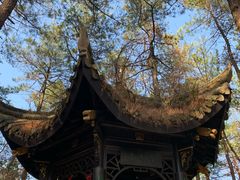 -四明山国家森林公园