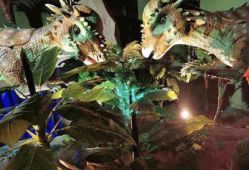 -恐龙探索乐园(磁器口店)