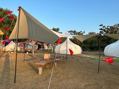 -上海海湾国家森林公园