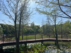 -同里国家湿地公园