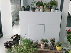 -上海先进东风标致雪铁龙4S店(青浦店)