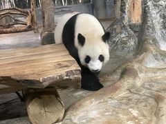-海南热带野生动植物园