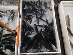 -树木岭集贸市场(劳动东路)