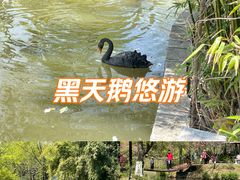 -上海交通大学(闵行校区)