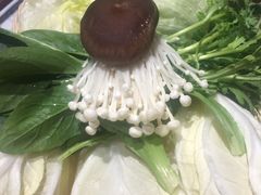 -友乐居羊蝎子(西直门店)