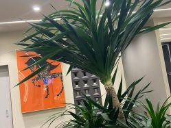 -凯博K-boom Hair Salon