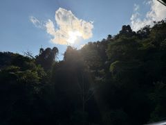 -野象谷景区
