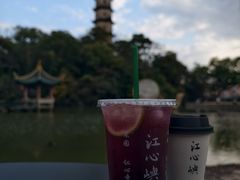 -江心屿景区